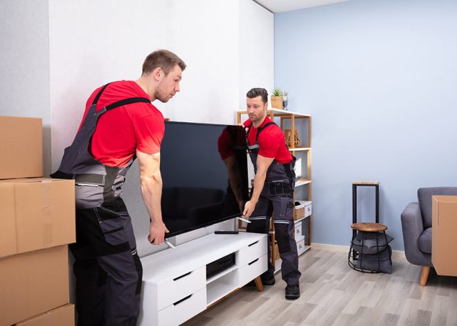What is a Removalist and What are Their Duties