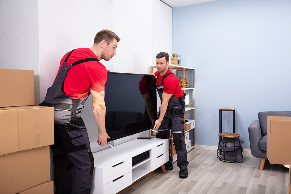 What is a Removalist and What are Their Duties